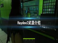 《Haydee2》武器有哪些 游戏武器介绍