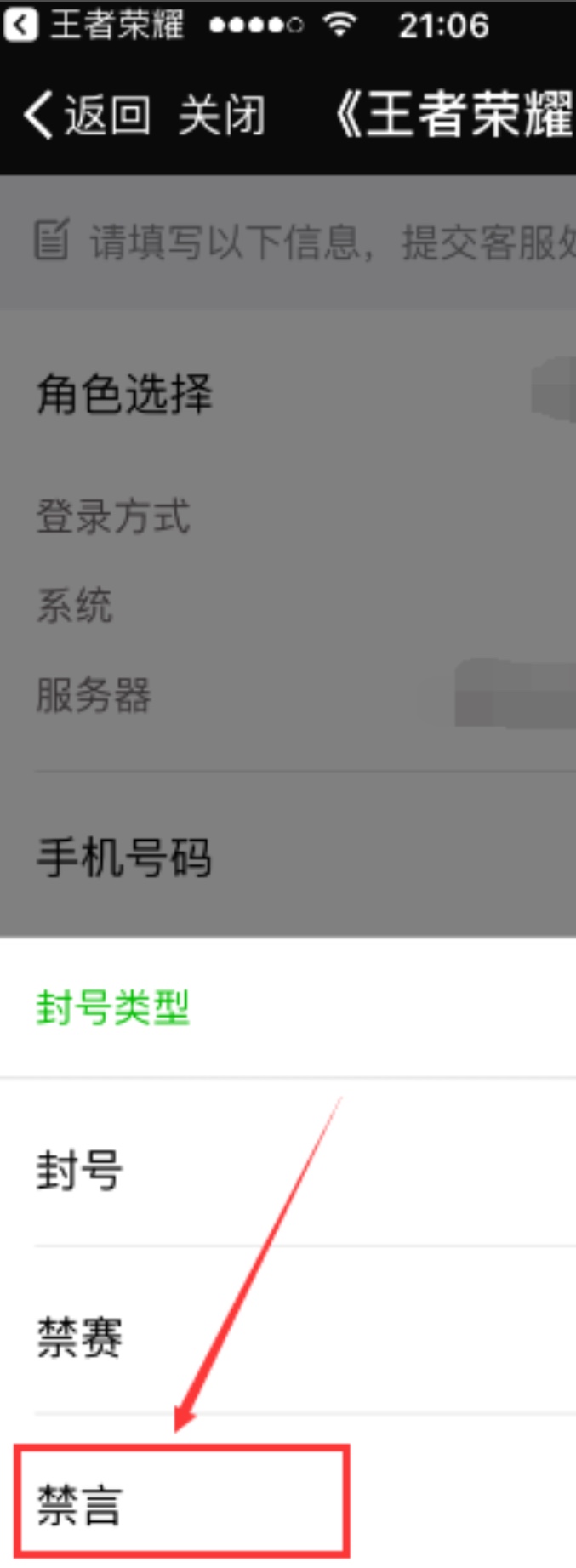 王者荣耀禁言但是查不到 王者荣耀禁言时间怎么查询 王者荣耀禁言时间怎么查询不到2022