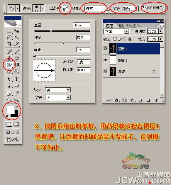 photoshop抠图教程-运用背景橡皮擦抠透明郁金香