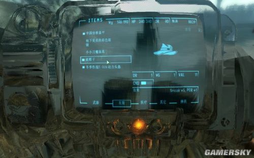 《辐射3 FALLOUT3》中国制造的隐身衣