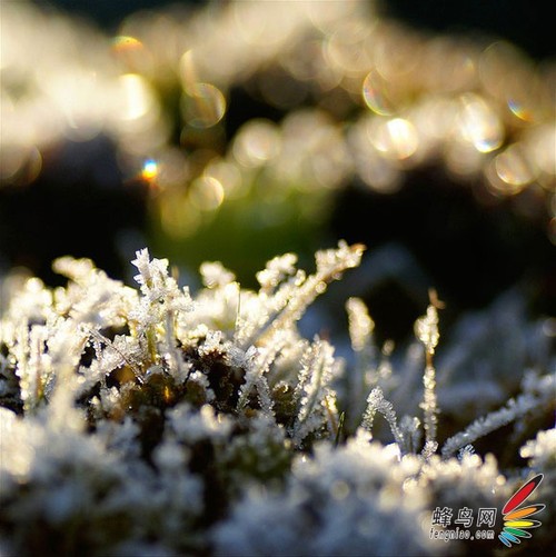 如何拍摄“雪中幻境” 雪景拍摄技巧全攻略