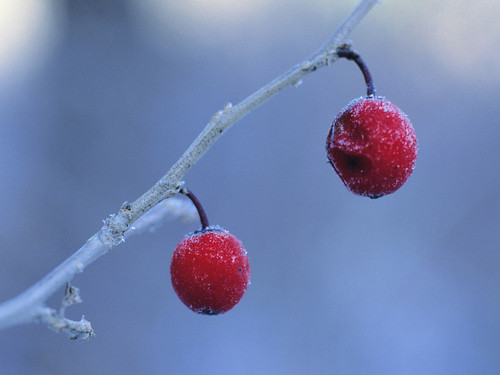 雪景拍摄技巧浅谈