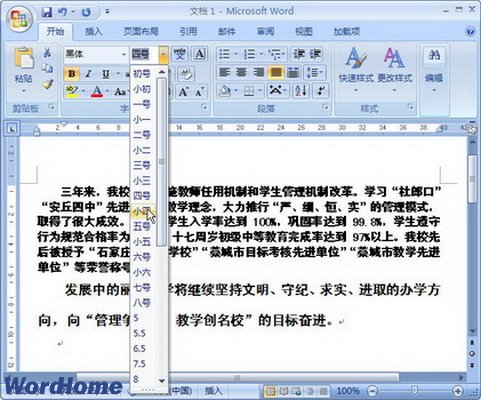 Word2007设置字体大小的四种方式