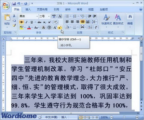 Word2007设置字体大小的四种方式