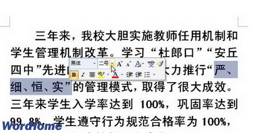 Word2007设置字体大小的四种方式