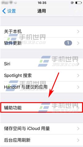 苹果iPhone6sPlus怎么设置切换控制