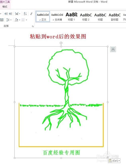 小技巧！cad作的图片如何高清晰地导入到word?