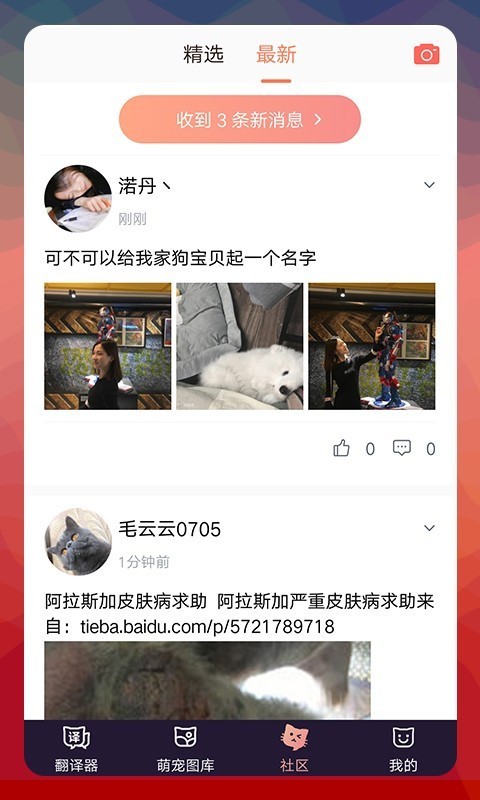 猫语翻译器电脑版截图