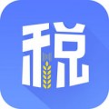 国家税务总局电脑版