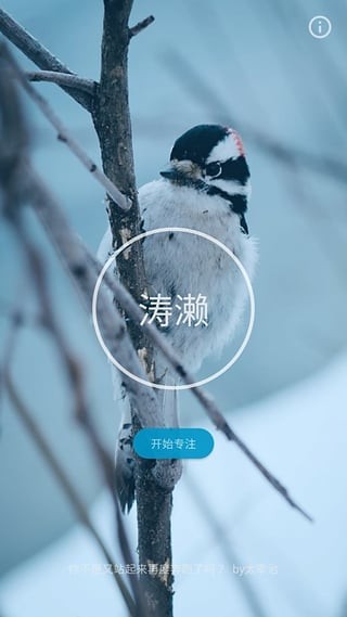 涛濑电脑版截图