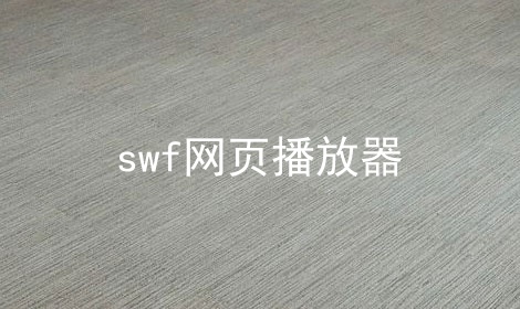 swf网页播放器