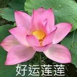 好运莲莲软件