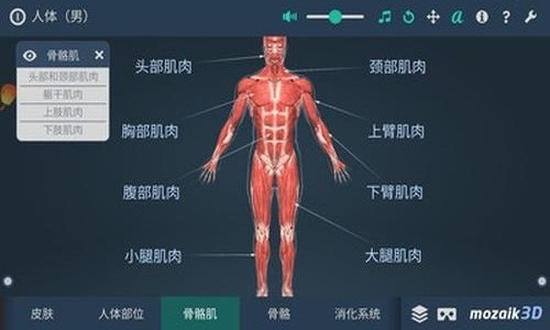 人体解剖3D模型软件截图3