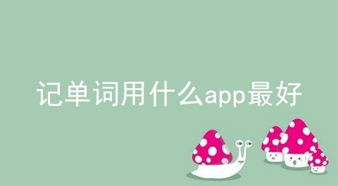 记单词用什么app最好