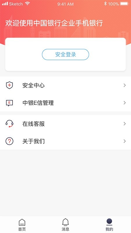 中行企业银行软件截图3