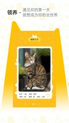 我要猫软件截图1