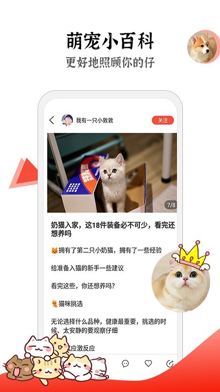 猫猫社软件截图3