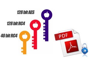 Vibosoft PDF Locker(PDF加密软件)下载