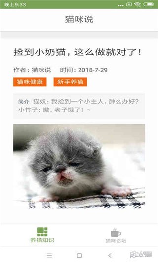 猫咪生活圈软件截图2