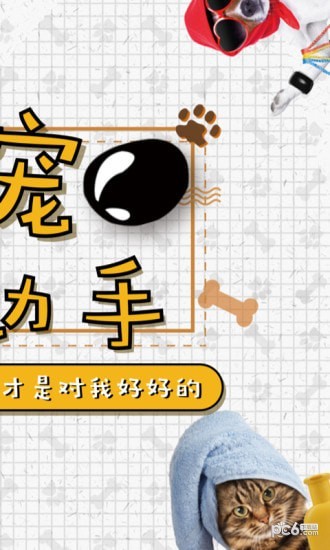 四只猫软件截图1