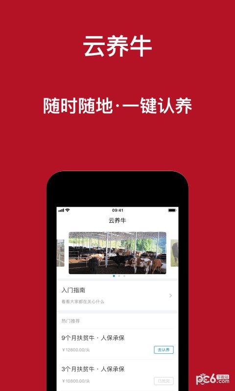 云养牛软件截图1