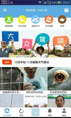 大众信鸽软件截图0