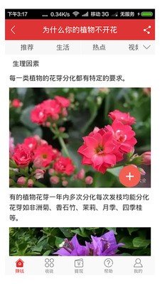 转发赚软件截图3