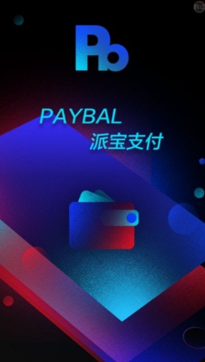 Paybal派宝支付软件截图2