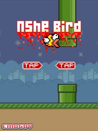 Nshe Bird软件截图2