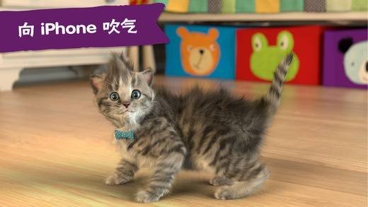 我最喜爱的猫猫软件截图3