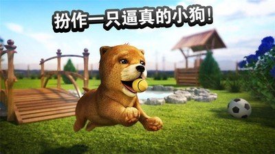 在狗狗小屋里软件截图1