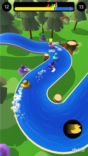 Duck Race