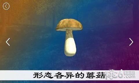 真实采集蘑菇模拟器软件截图2