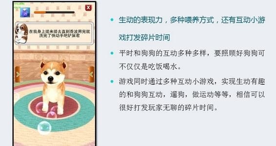 奔跑吧小狗软件截图3