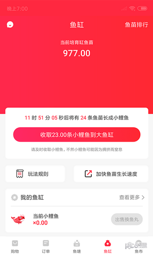 小鲤鱼软件截图0