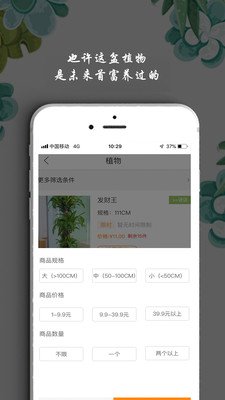 淘花运软件截图2