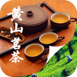 黄山茗茶