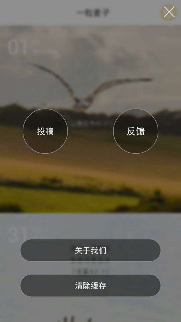 一粒麦子软件截图2