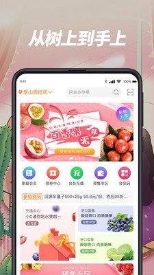 新仙C果软件截图0