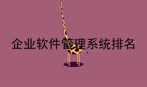 企业软件管理系统排名