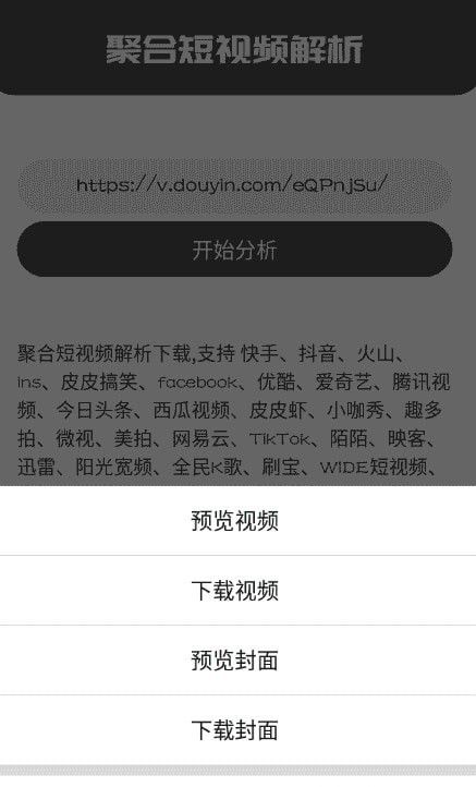 聚合解析软件截图0