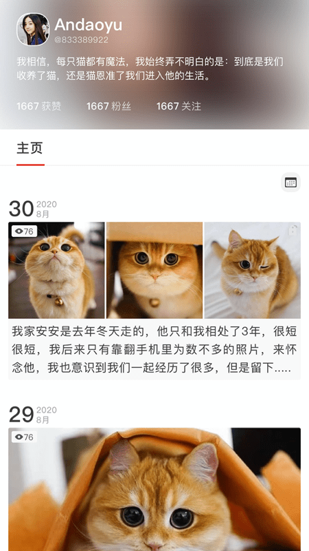 宠年年软件截图1