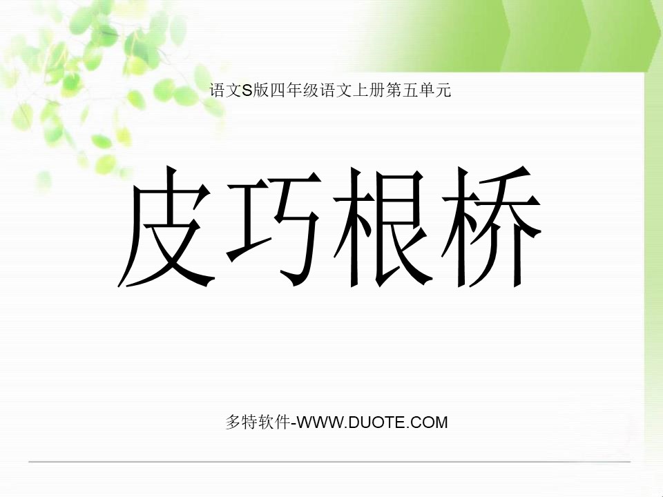 《皮巧根桥》PPT课件5下载