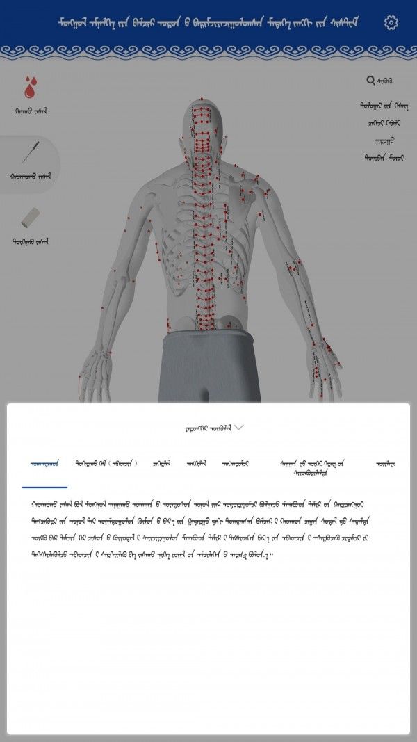蒙医穴位标准化信息系统软件截图1