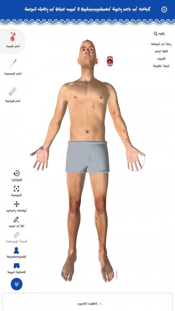 蒙医穴位标准化信息系统软件截图0