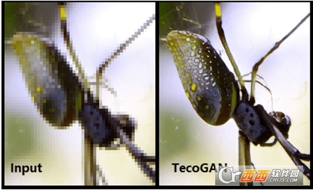 tecogan下载