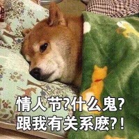 七夕情人节虐狗表情图片