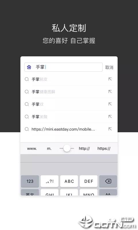 绿叶浏览器国际版软件截图2