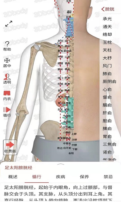 3Dbody经络穴位软件截图1