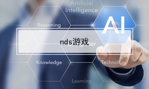 nds游戏